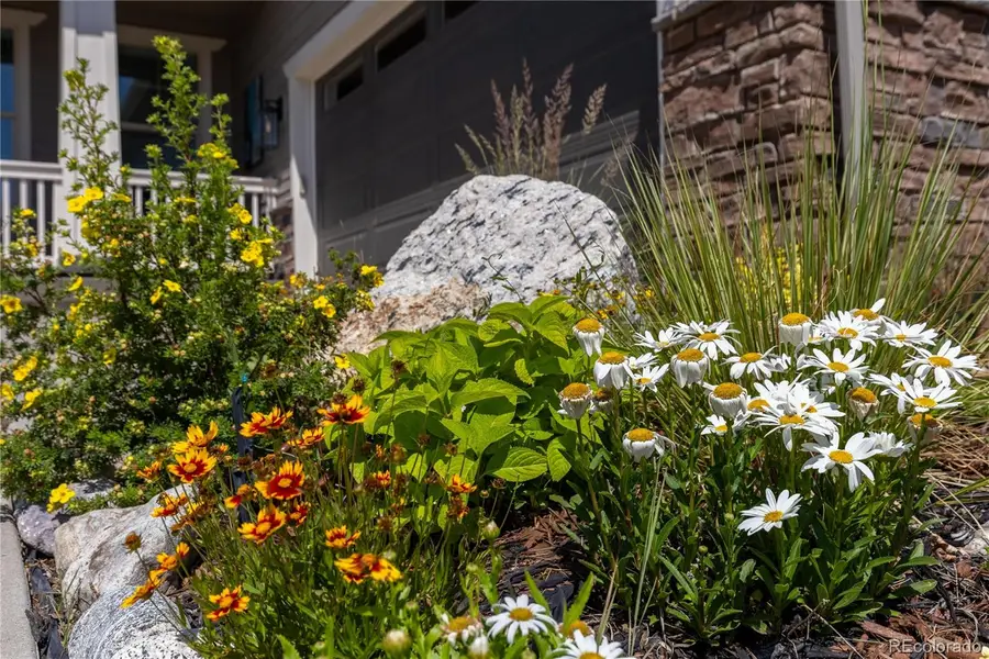 9519 Nile Way, Arvada, CO 80007 - #2