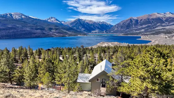 165 Reva Ridge Road, Twin Lakes, CO 81251