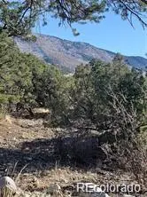 148 Lake Of The Falls Parkway, Mosca, CO 81146