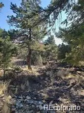 148 Lake Of The Falls Parkway, Mosca, CO 81146 - #2