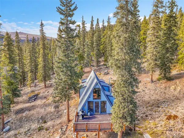 3427 Co Road 14, Fairplay, CO 80440