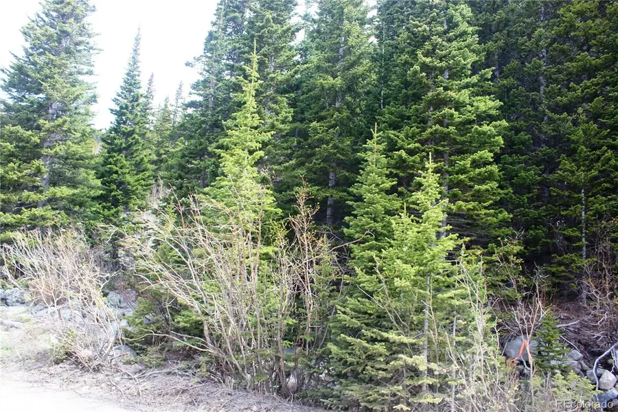 16564A Pennsylvania, Idaho Springs, CO 80461 - #3