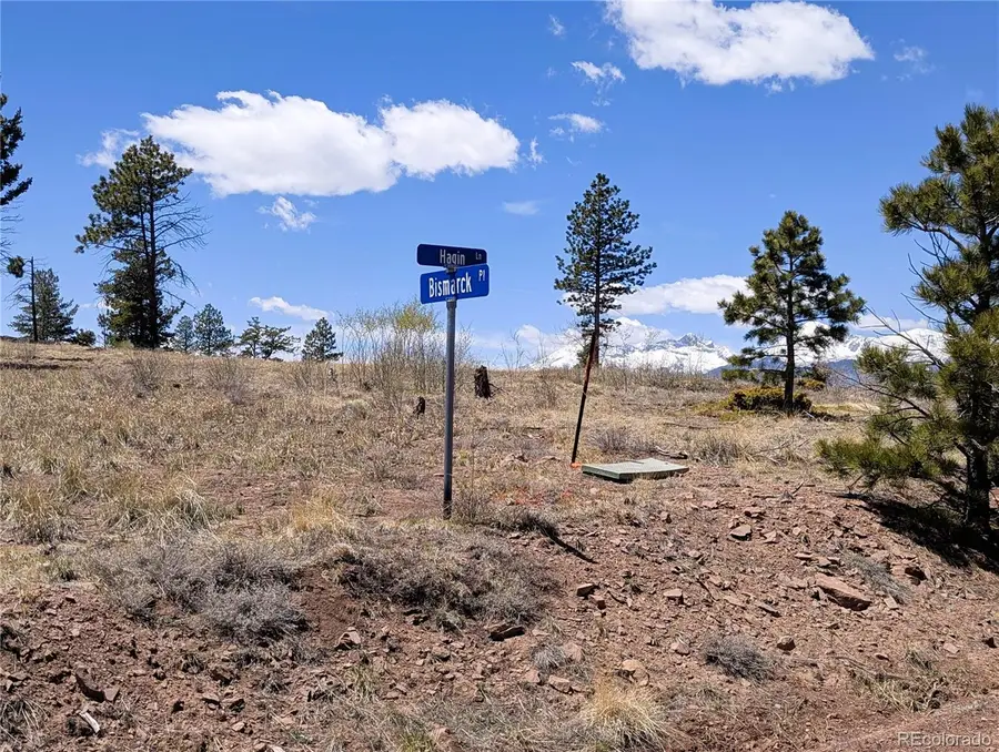 288 Hagin Lane, Fort Garland, CO 81133 - #3