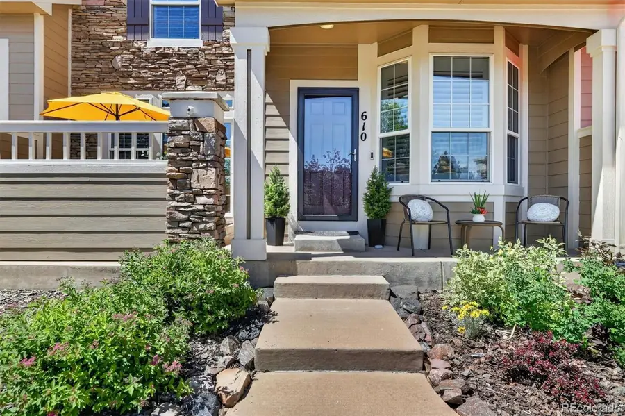 610 Clarendon Loop, Castle Rock, CO 80108 - #2