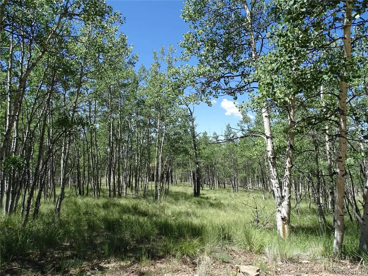 782 Bowstring Road, Como, CO 80432 - #1