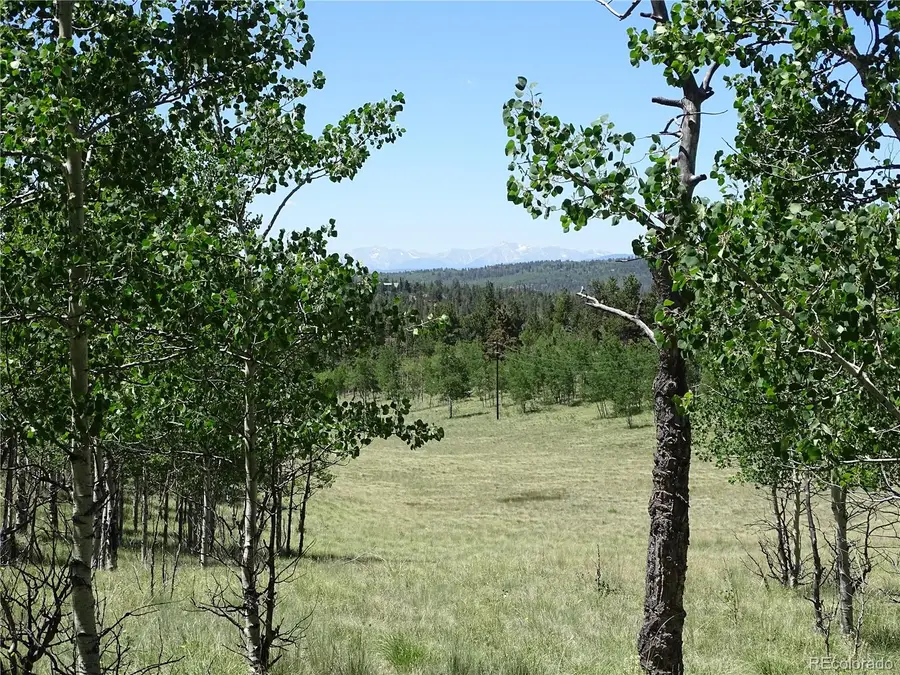 782 Bowstring Road, Como, CO 80432 - #3