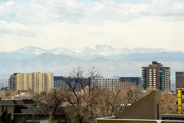 1313 N Williams Street #801, Denver, CO 80218