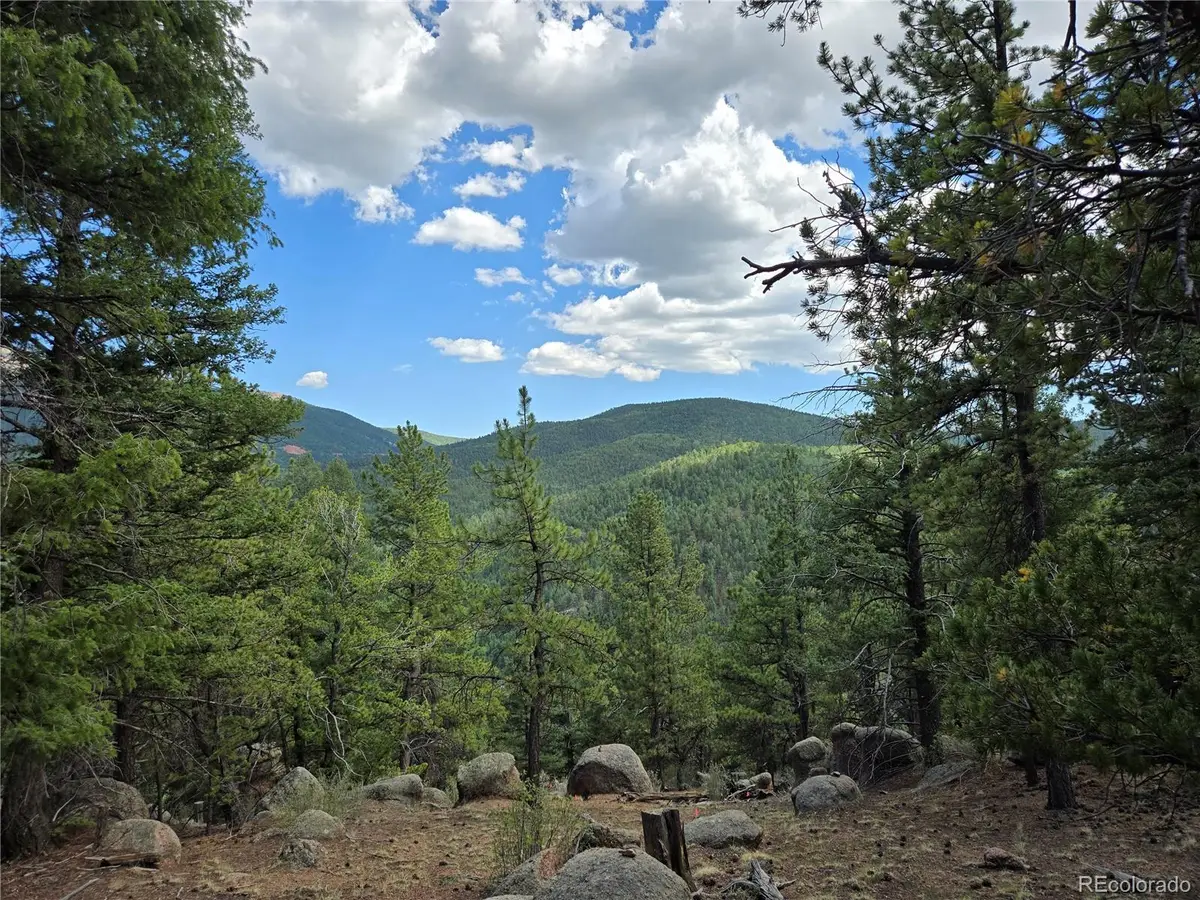 222 Blue Spruce Road, Divide, CO 80814 - #1