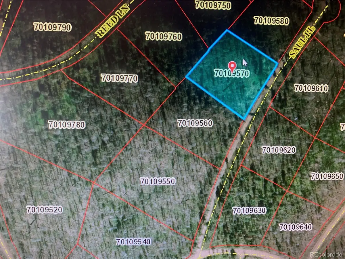 1043 Saul Place, Fort Garland, CO 81133 - #1