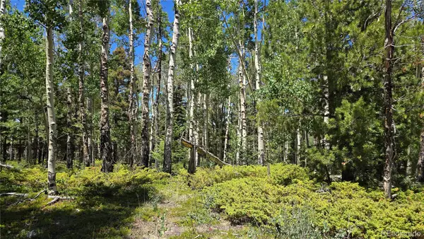 Lot 6748 Starkweather Road, San Luis, CO 81152