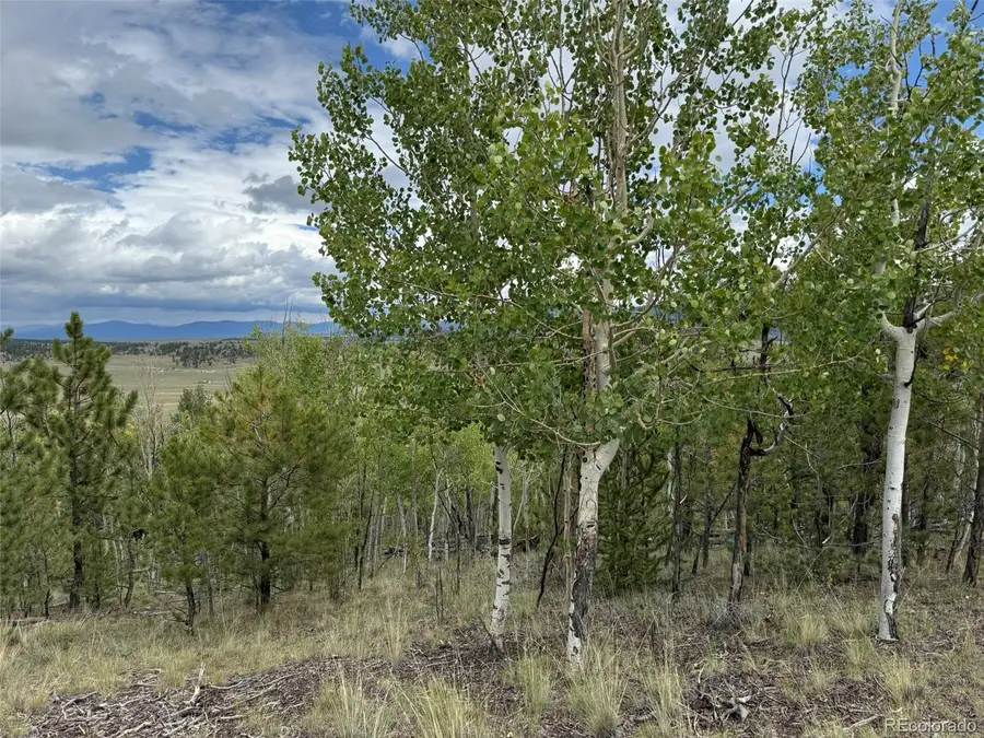 1769 Settele Drive, Hartsel, CO 80449 - #3