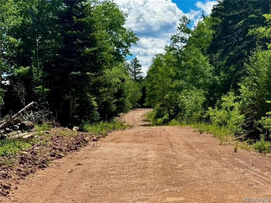 2348 Benton Place, Fort Garland, CO 81133 - Image #3