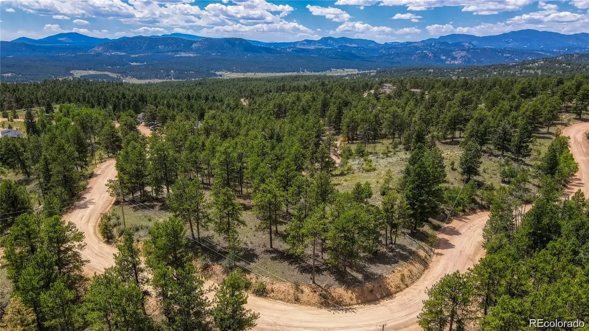 2075 Pikes Peak Drive, Florissant, CO 80816 - #1