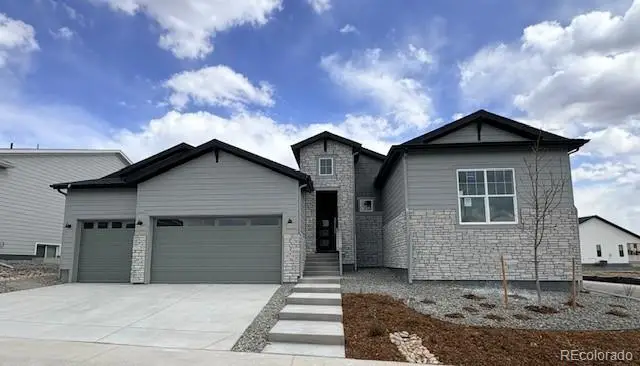 5008 Cupele Trail, Castle Rock, CO 80104 - #1