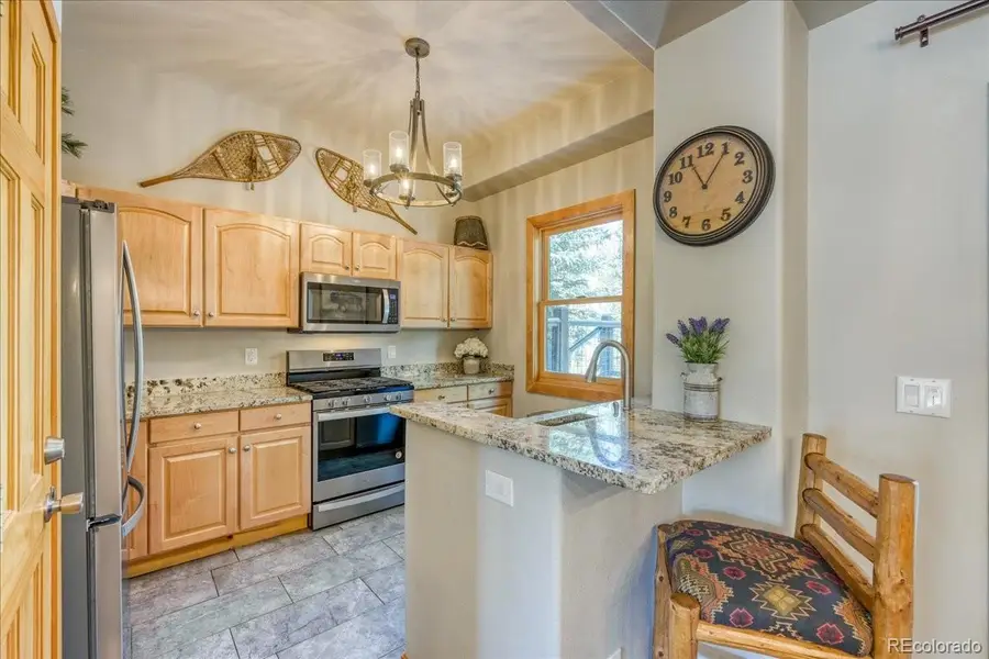 542 Northstar Drive #1955, Dillon, CO 80435 - #3