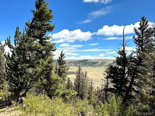 2022 Middle Fork Vista, Fairplay, CO 80440