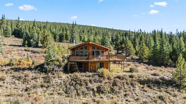 162 S Silk Sisters Place, Fairplay, CO 80440