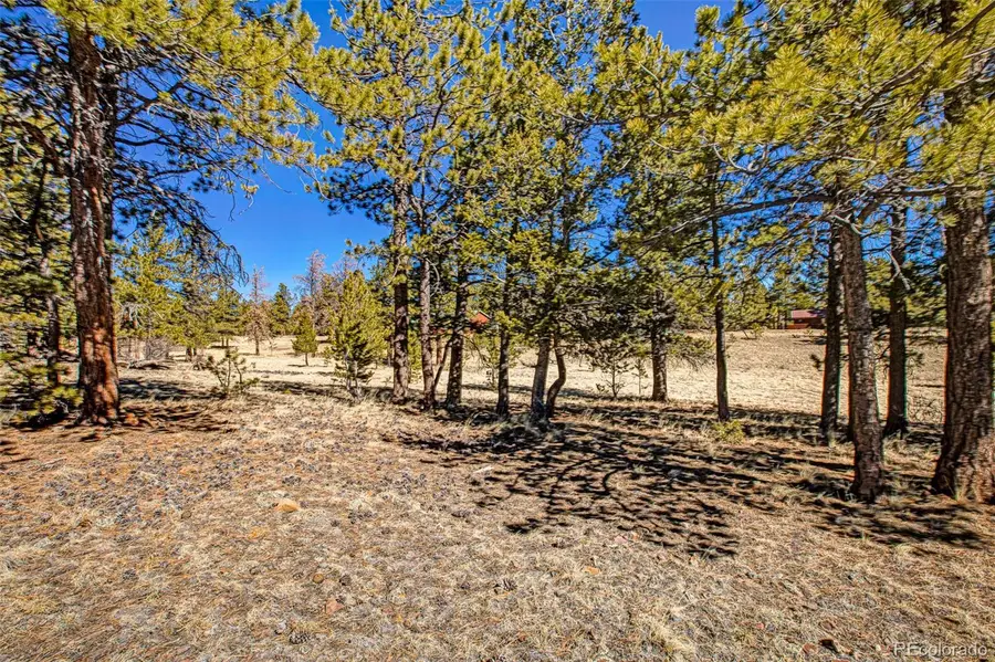 2226 Pitchfork Road, Hartsel, CO 80449 - #2