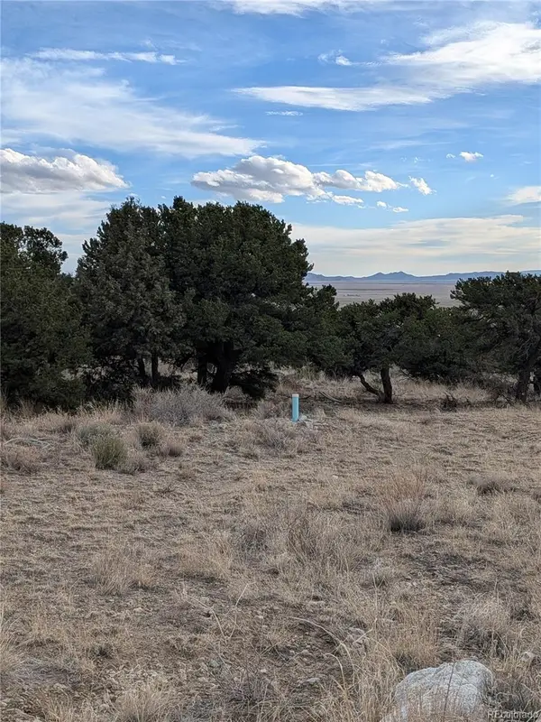 Lot 2 20th Street, Blanca, CO 81123