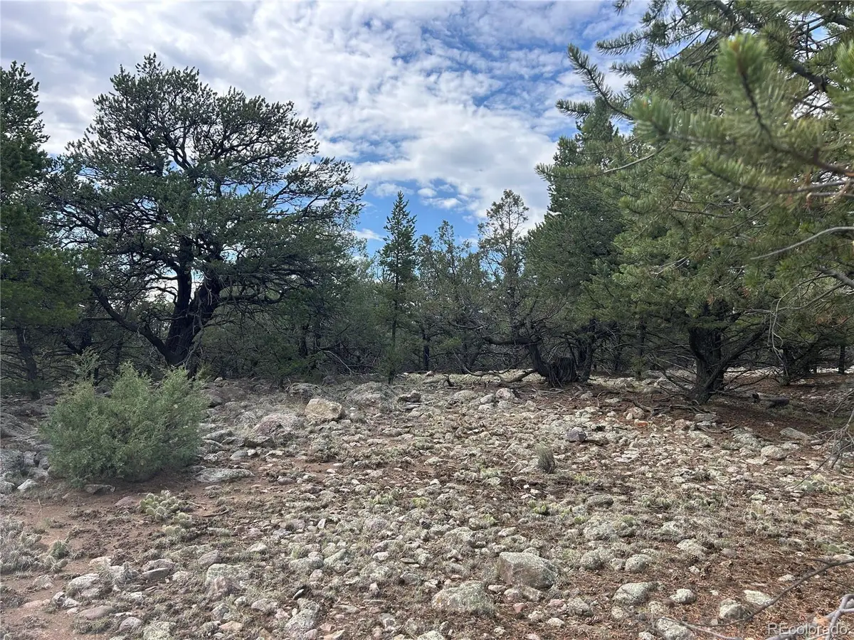1661 Willow Creek Way, Crestone, CO 81131 - #1