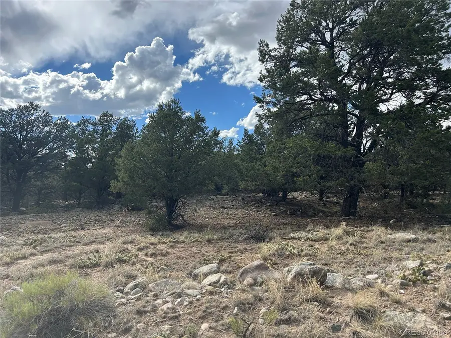 1661 Willow Creek Way, Crestone, CO 81131 - #2