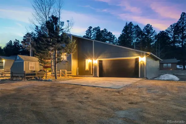 1011 W South Avenue, Woodland Park, CO 80863