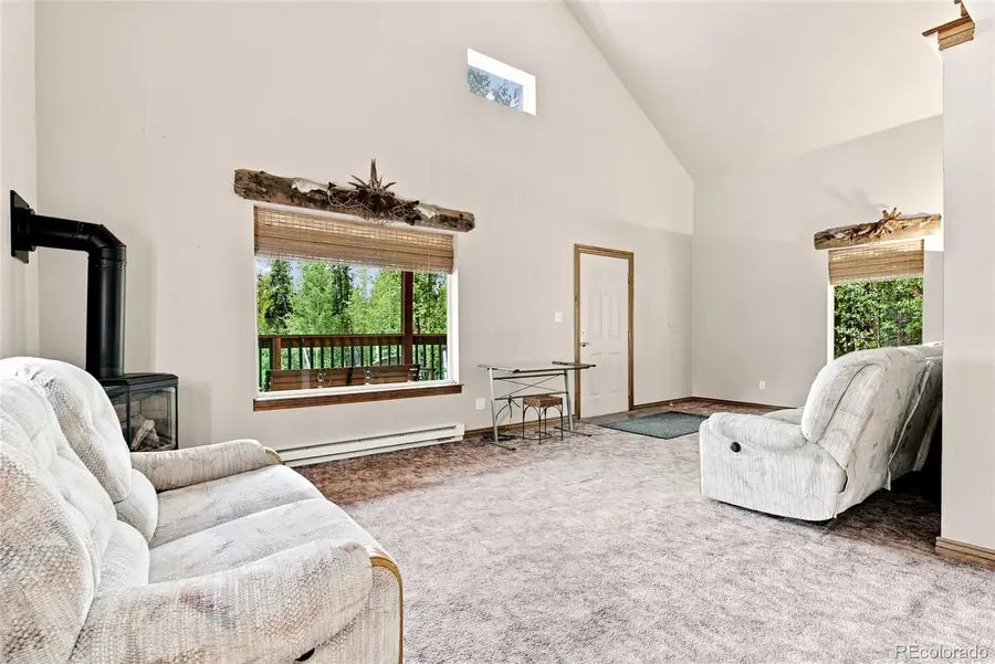 271 Willow Lane, Alma, CO 80420 - #3