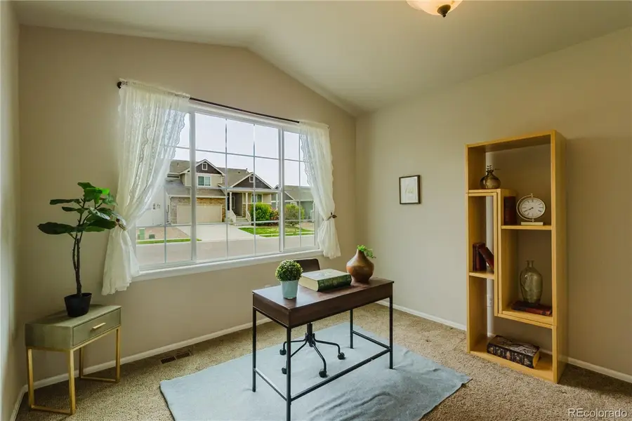 1019 Mt Oxford Avenue, Windsor, CO 80550 - #3