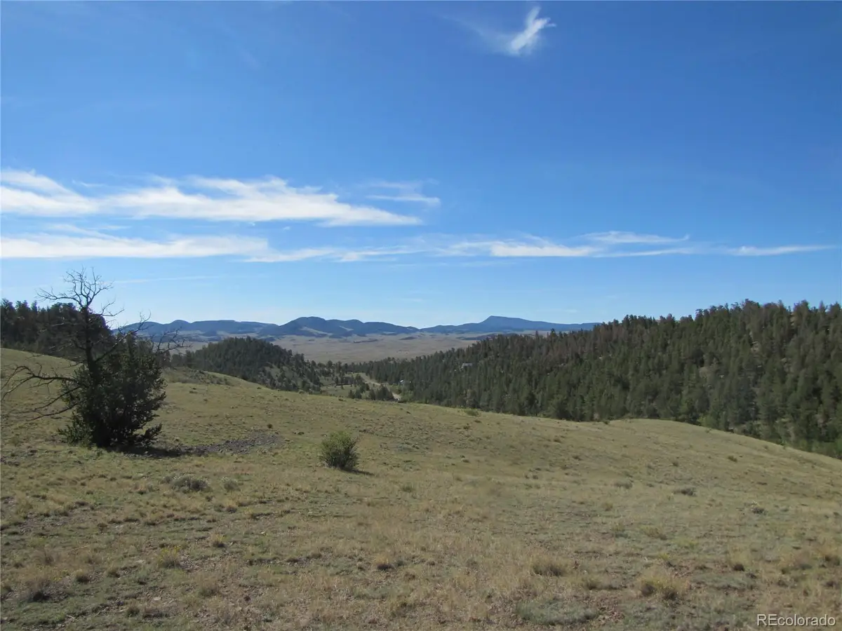 227 Keechi Road, Hartsel, CO 80449 - #1