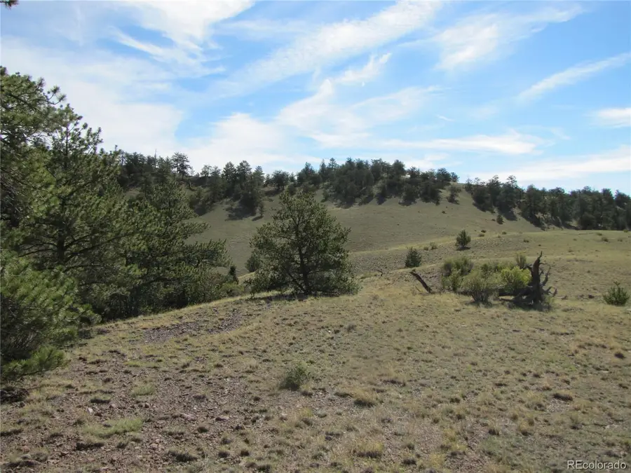 227 Keechi Road, Hartsel, CO 80449 - #2