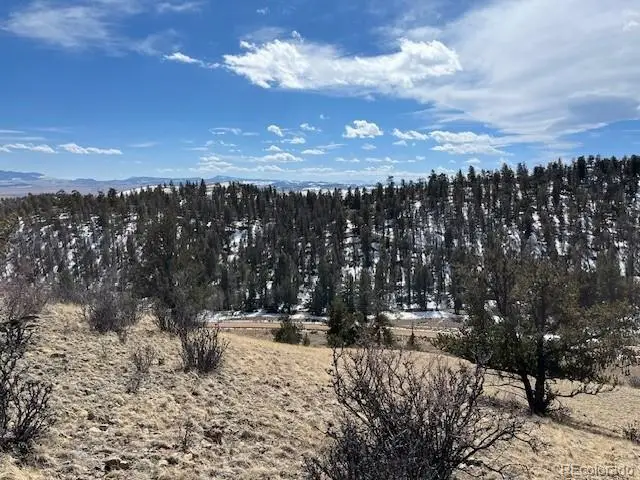697 Summit Road, Hartsel, CO 80449 - #2