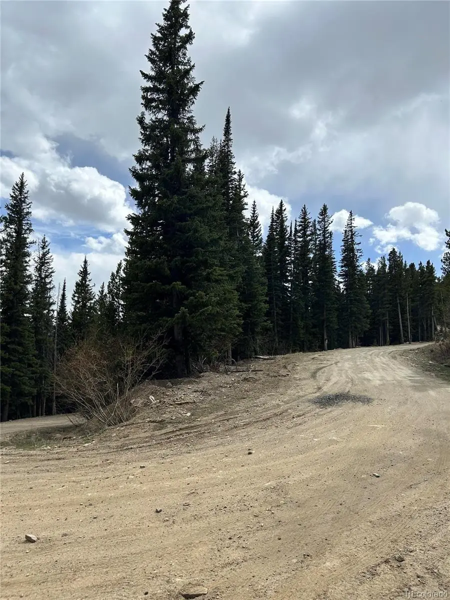 Texas Circle, Idaho Springs, CO 80452 - #3