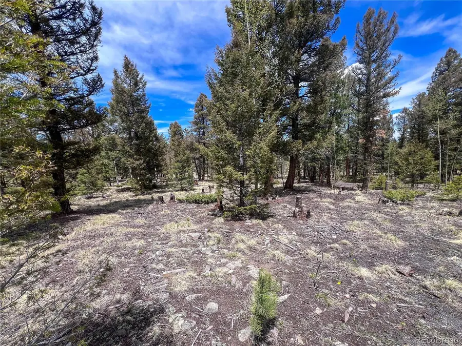 1980 Pitchfork Road, Hartsel, CO 80449 - #3