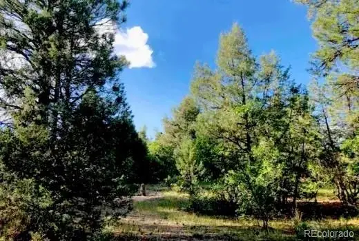 131 Retreat Court, Pagosa Springs, CO 81147 - #3