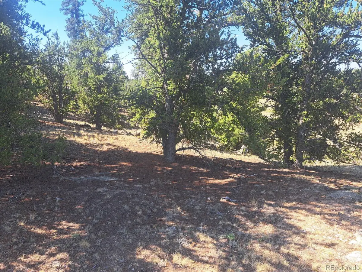 481 Ramrod Way, Como, CO 80432 - #1