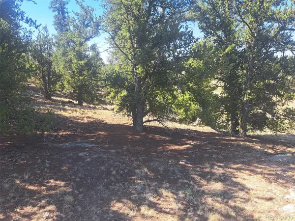 481 Ramrod Way, Como, CO 80432