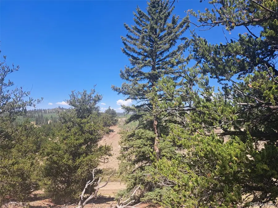 481 Ramrod Way, Como, CO 80432 - #2