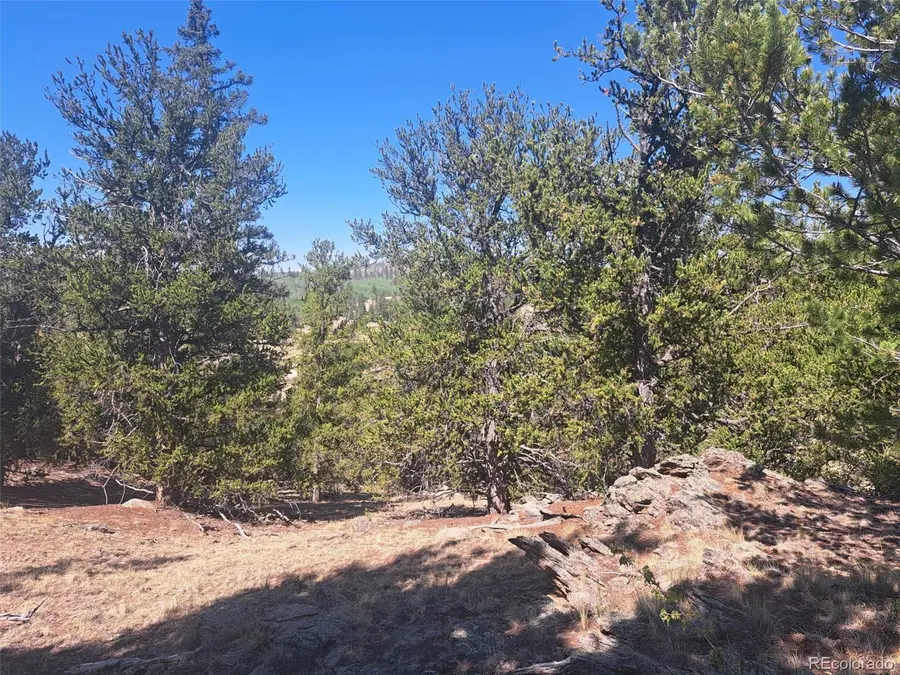 481 Ramrod Way, Como, CO 80432 - #3
