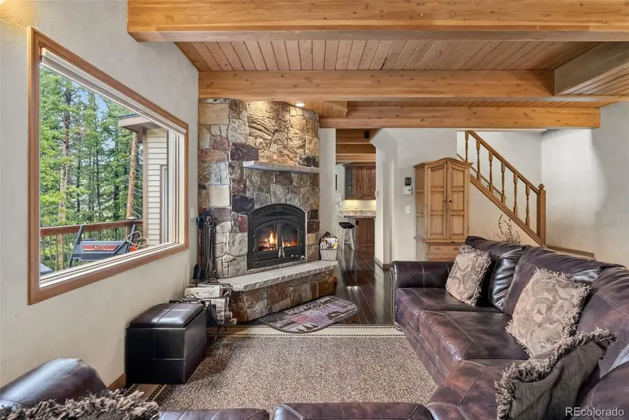 101 County Road 531, Breckenridge, CO 80424 - #3