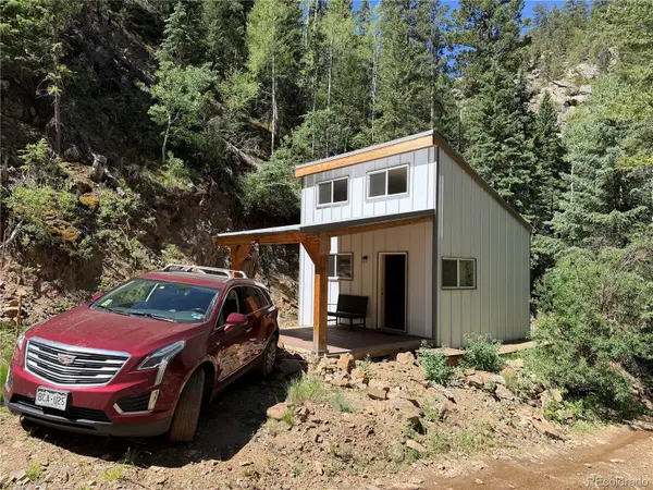 854 Old Little Bear Creek Road, Idaho Springs, CO 80452