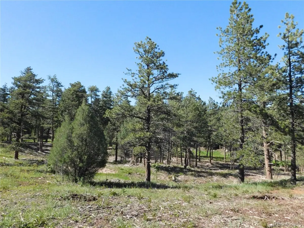 7514 Seminole Drive, Larkspur, CO 80118 - #1
