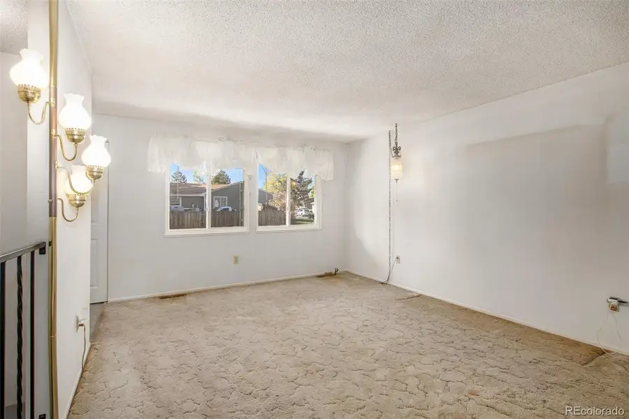 11776 Saint Paul Street, Thornton, CO 80233 - Image #3