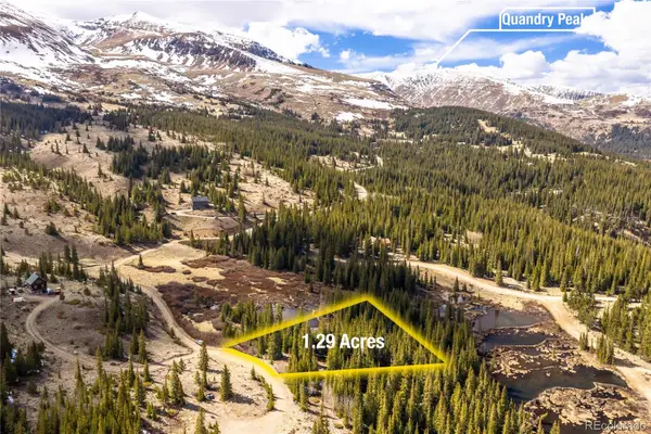199 Zinc Road, Alma, CO 80440