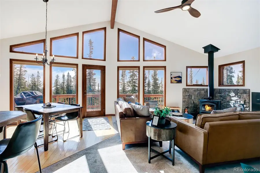 50 Puma Crossing, Fairplay, CO 80440 - #3