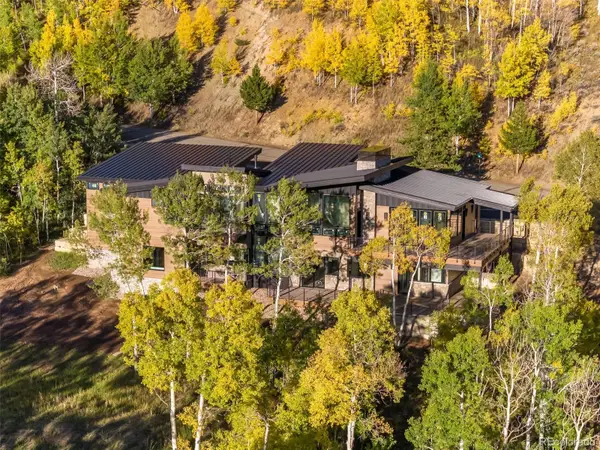 530 Lakeview Circle, Silverthorne, CO 80498