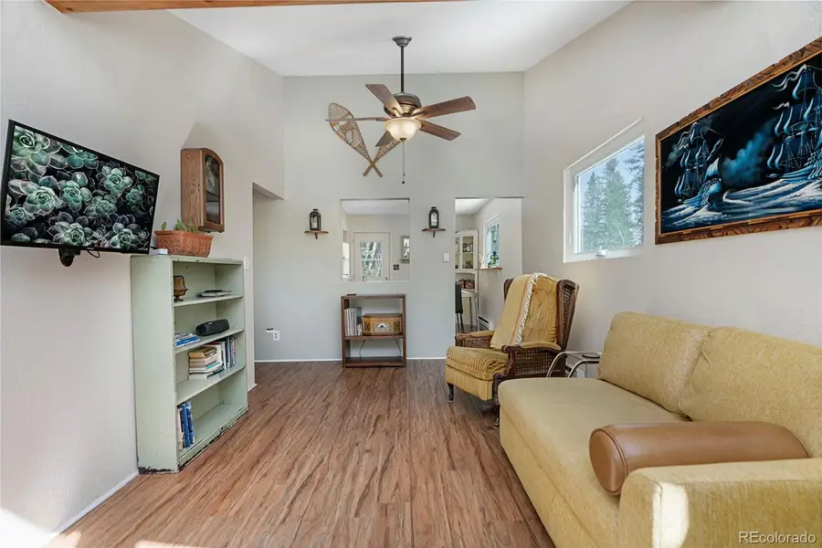 388 Saw Mill Lane, Idaho Springs, CO 80452 - #3