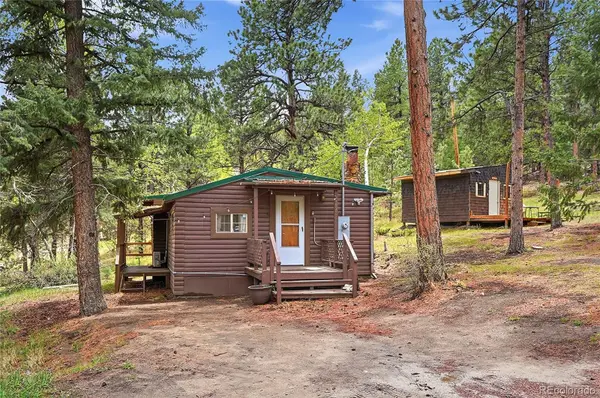 14032 S Olive Avenue, Pine, CO 80470