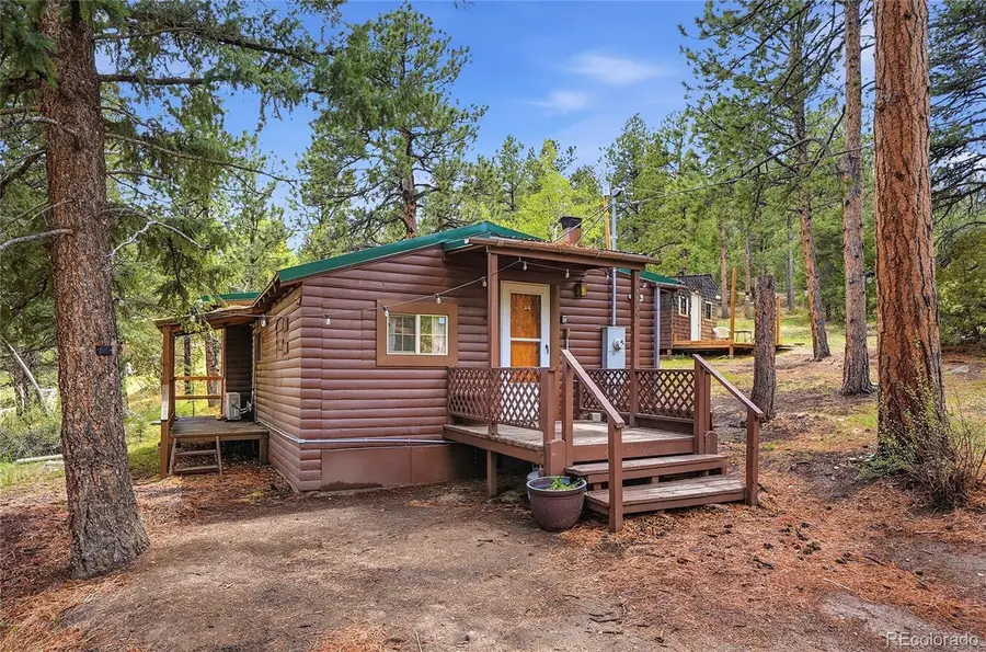 14032 S Olive Avenue, Pine, CO 80470 - #2
