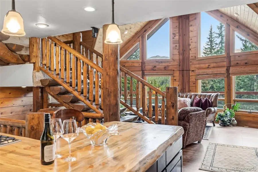 229 Lee Lane, Breckenridge, CO 80424 - #3