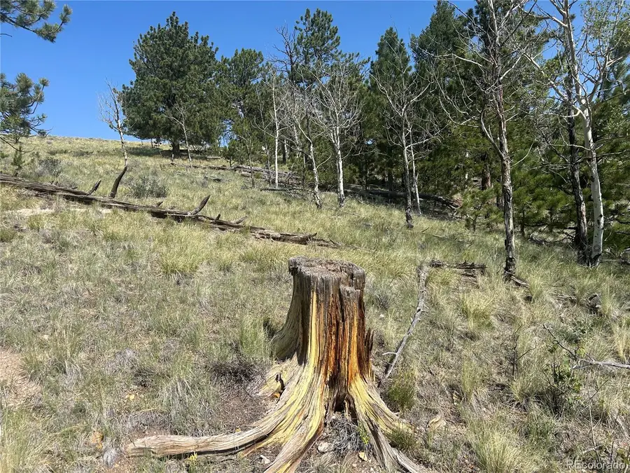 11414 Ranch Road, Hartsel, CO 80449 - #3